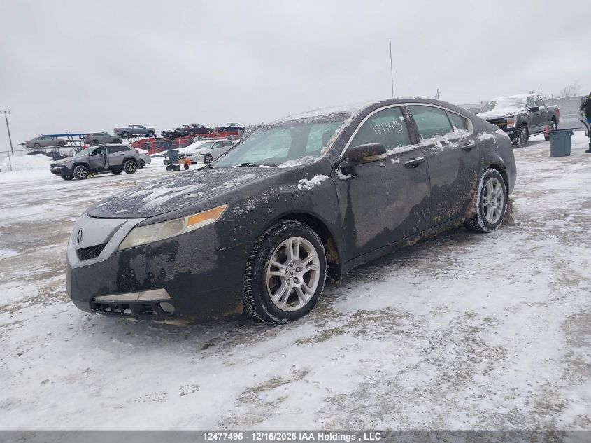 2010 Acura Tl VIN: 19UUA8F56AA800914 Lot: 12477495