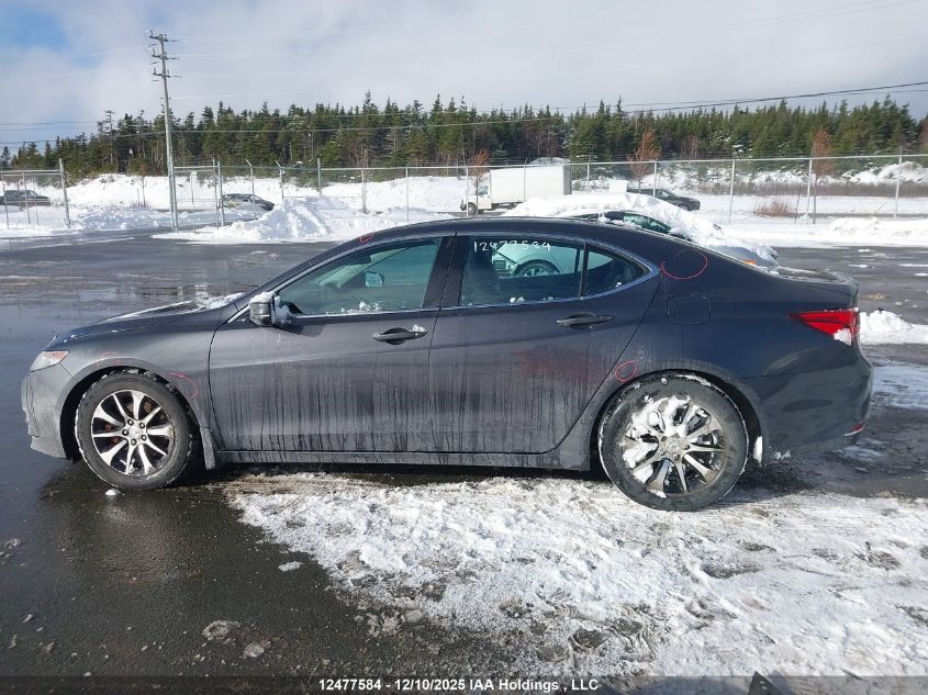 2015 Acura Tlx VIN: 19UUB1F35FA800753 Lot: 12477584