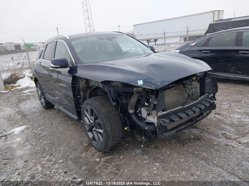 3PCAJ5EB0PF103990 2023 Infiniti Qx50 Sensory auction photo 1