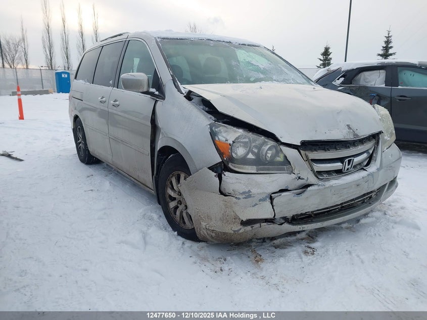 5FNRL38817B503848 HONDA ODYSSEY Photo 1