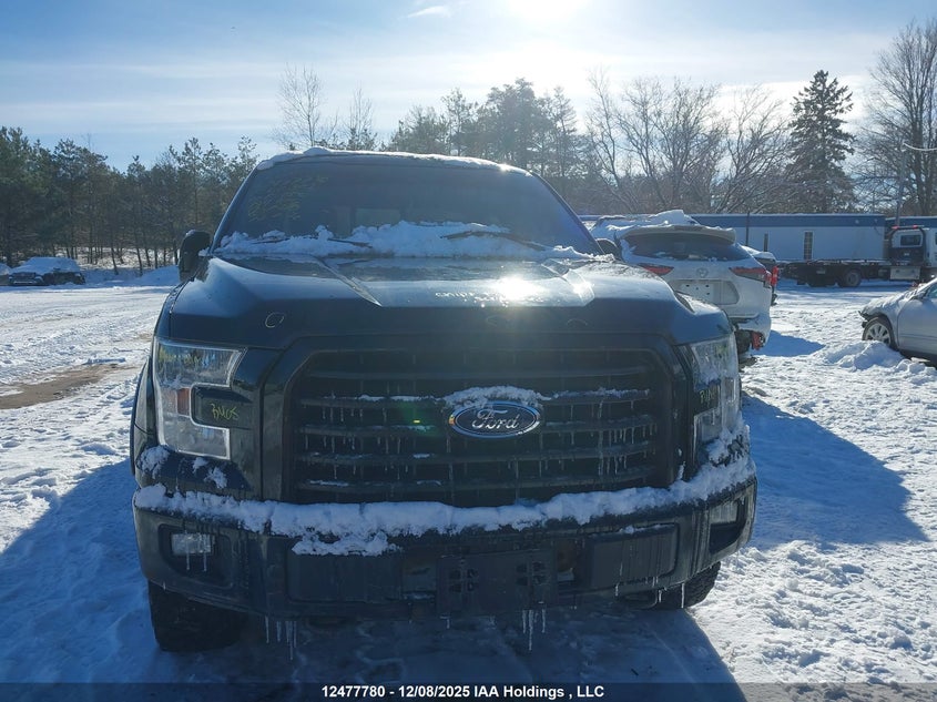 1FTFW1EF0HFC66302 2017 FORD F-150 photo no. 13
