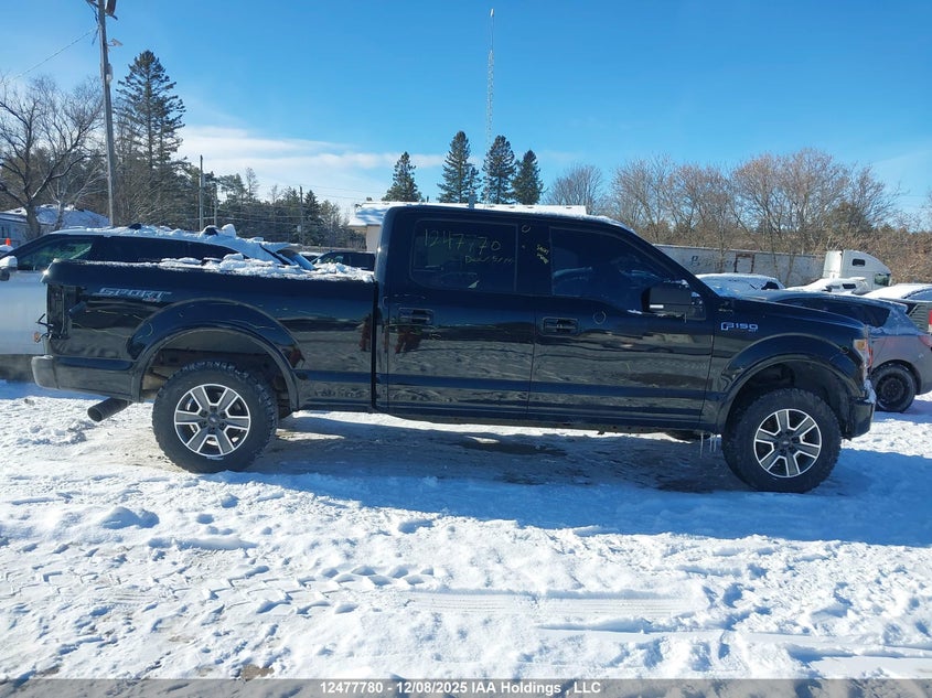 1FTFW1EF0HFC66302 2017 FORD F-150 photo no. 14