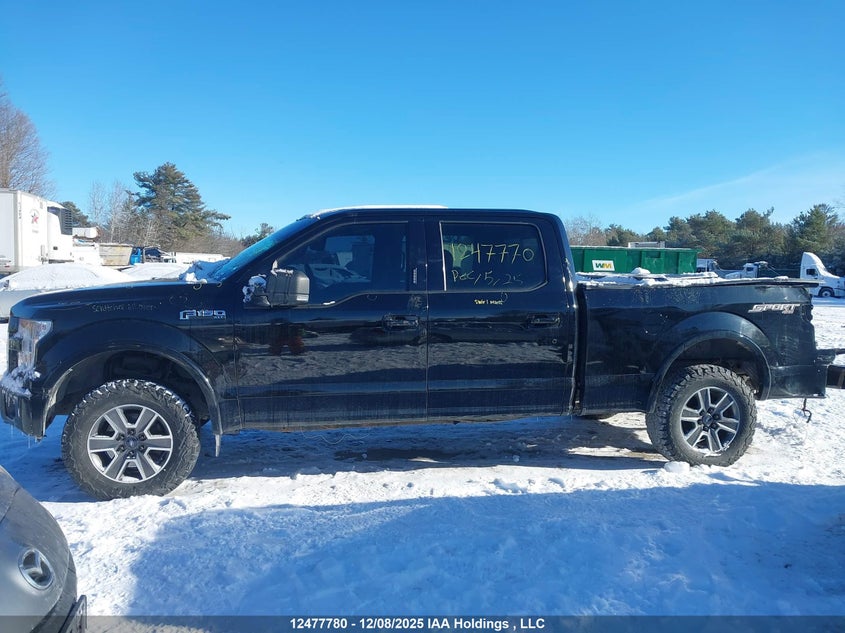 1FTFW1EF0HFC66302 2017 FORD F-150 photo no. 15