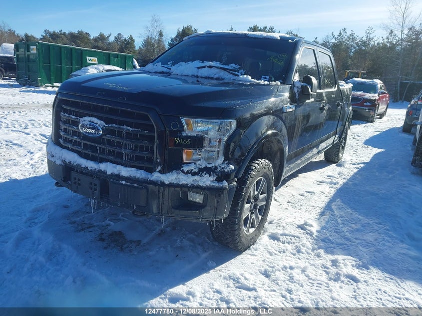 1FTFW1EF0HFC66302 2017 FORD F-150 photo no. 2