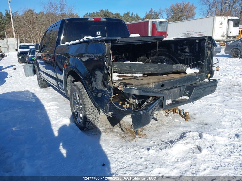 1FTFW1EF0HFC66302 2017 FORD F-150 photo no. 3