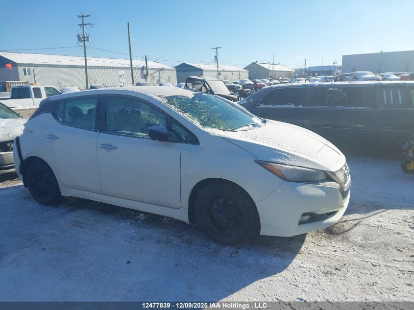 2020 Nissan Leaf Sv VIN: 1N4AZ1CP4LC300500 Lot: 12477839