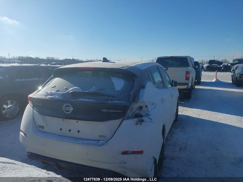 2020 Nissan Leaf Sv VIN: 1N4AZ1CP4LC300500 Lot: 12477839