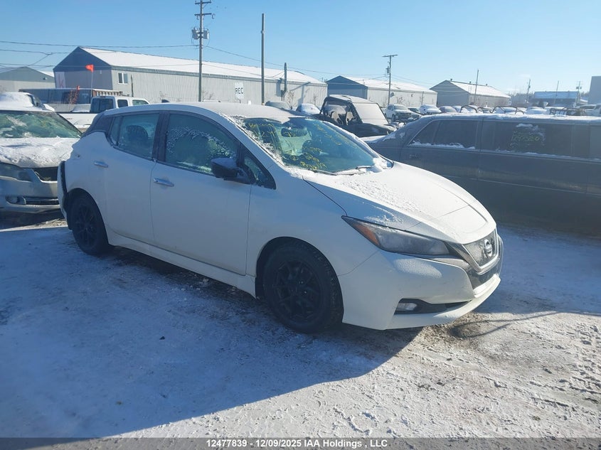 1N4AZ1CP4LC300500 2020 Nissan Leaf Sv auction photo 1