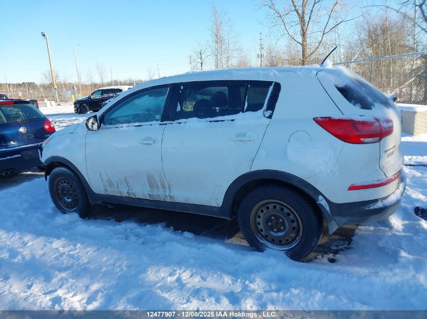 2016 Kia Sportage Lx VIN: KNDPB3AC2G7860003 Lot: 12477907