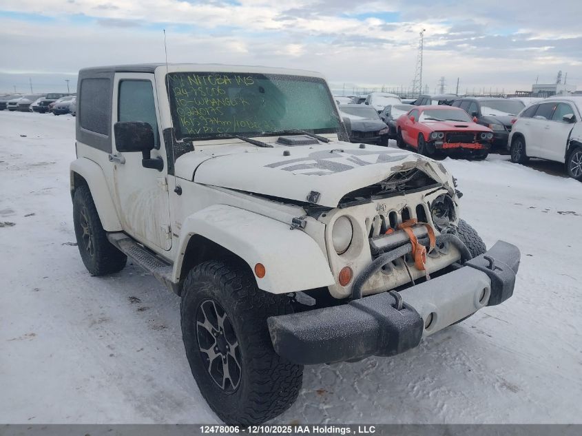 2010 Jeep Wrangler Sahara VIN: 1J4AA5D1XAL220175 Lot: 12478006