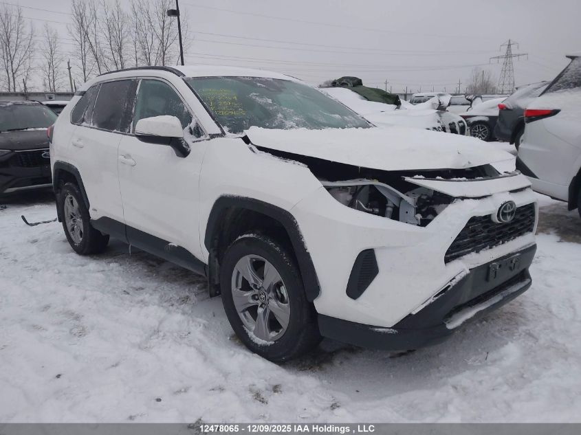 2025 Toyota Rav4 Le VIN: 2T3BWRFV5SW257460 Lot: 12478065