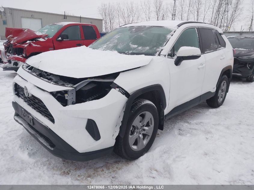 2025 Toyota Rav4 Le VIN: 2T3BWRFV5SW257460 Lot: 12478065