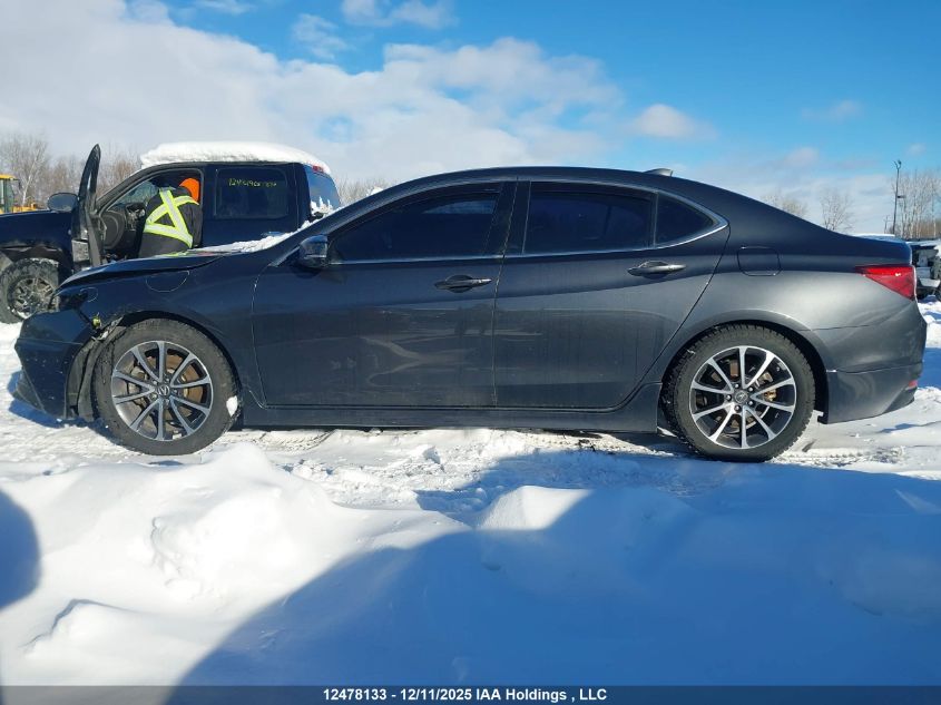 2016 Acura Tlx Tech VIN: 19UUB3F50GA801355 Lot: 12478133