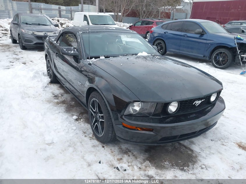1ZVFT85H765172713 2006 Ford Mustang Gt auction photo 1
