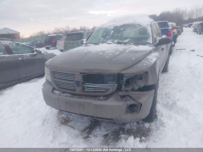 2010 Dodge Dakota VIN: 1D7CW3BPXAS156842 Lot: 12478251