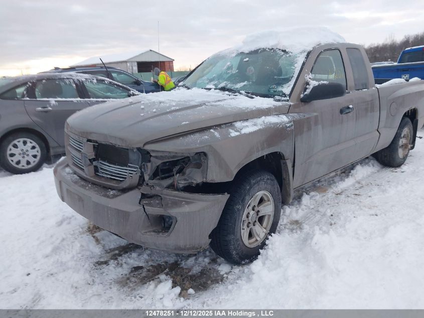 2010 Dodge Dakota VIN: 1D7CW3BPXAS156842 Lot: 12478251