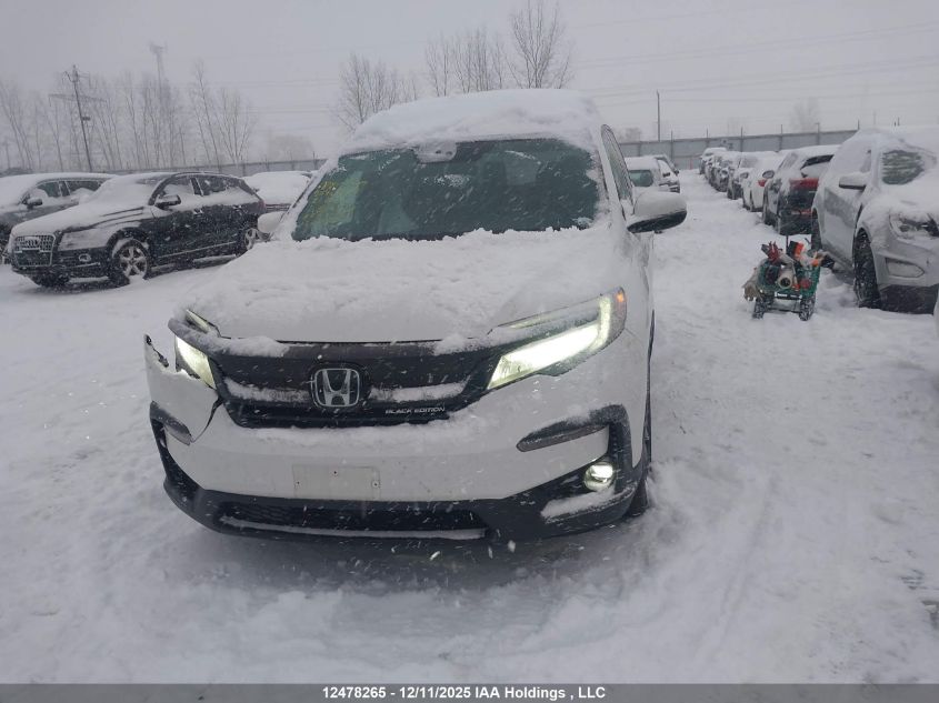 2021 Honda Pilot Black Edition VIN: 5FNYF6H00MB504547 Lot: 12478265