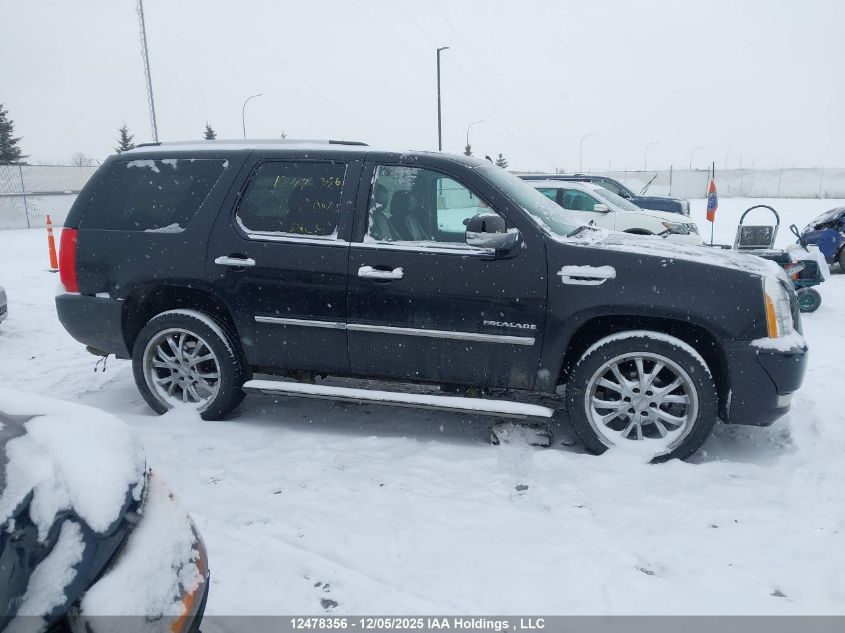 2011 Cadillac Escalade VIN: 1GYS4BEF5BR194488 Lot: 12478356