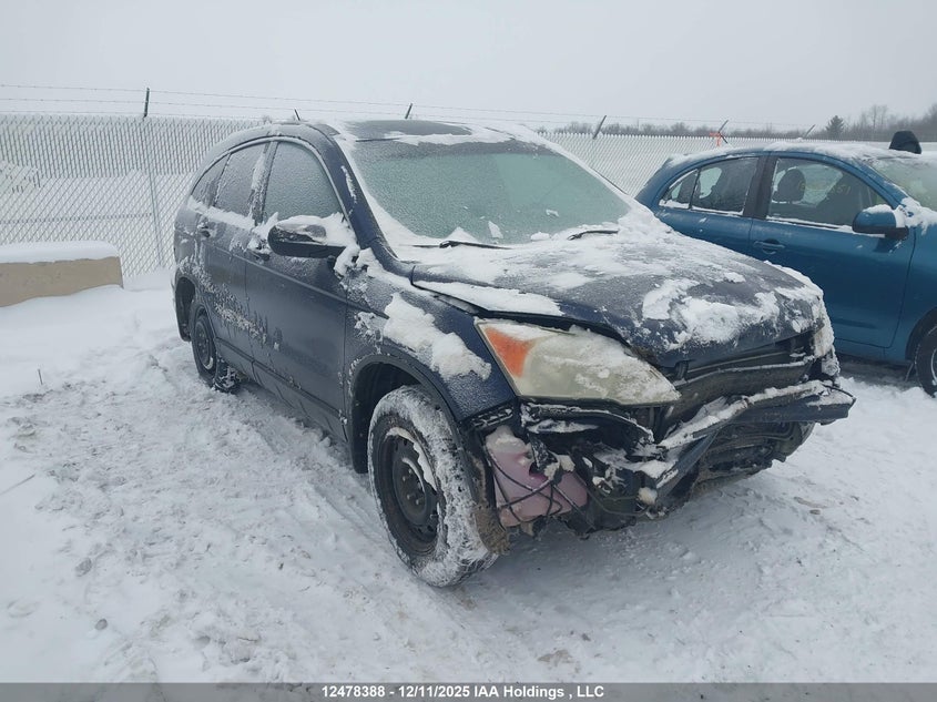 5J6RE48537L800889 2007 Honda Cr-V Ex auction photo 1