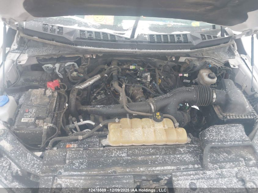 2019 Ford F-150 Xlt VIN: 1FTEW1EP7KFD20996 Lot: 12478589