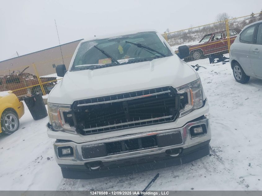 2019 Ford F-150 Xlt VIN: 1FTEW1EP7KFD20996 Lot: 12478589