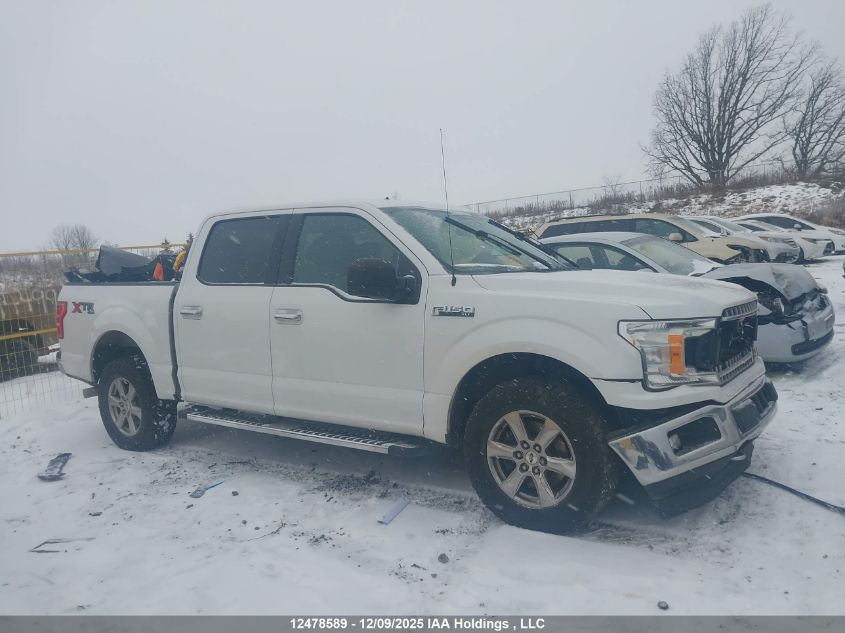 2019 Ford F-150 Xlt VIN: 1FTEW1EP7KFD20996 Lot: 12478589