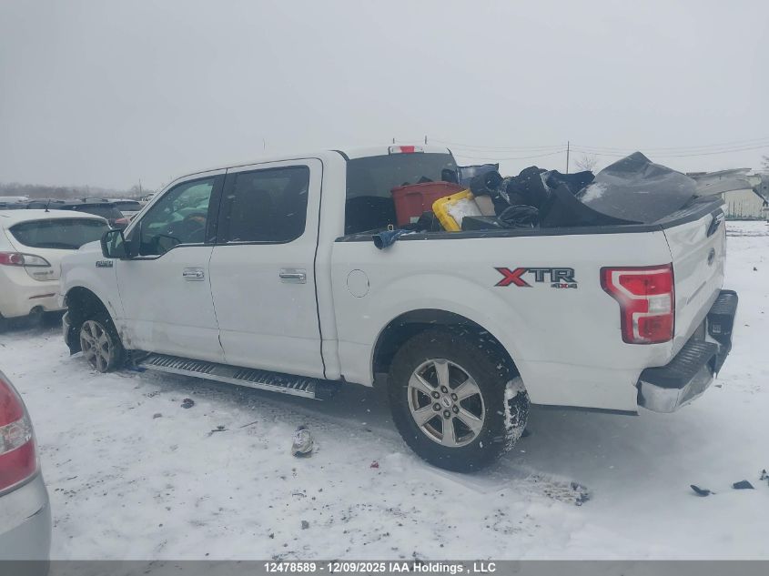 2019 Ford F-150 Xlt VIN: 1FTEW1EP7KFD20996 Lot: 12478589