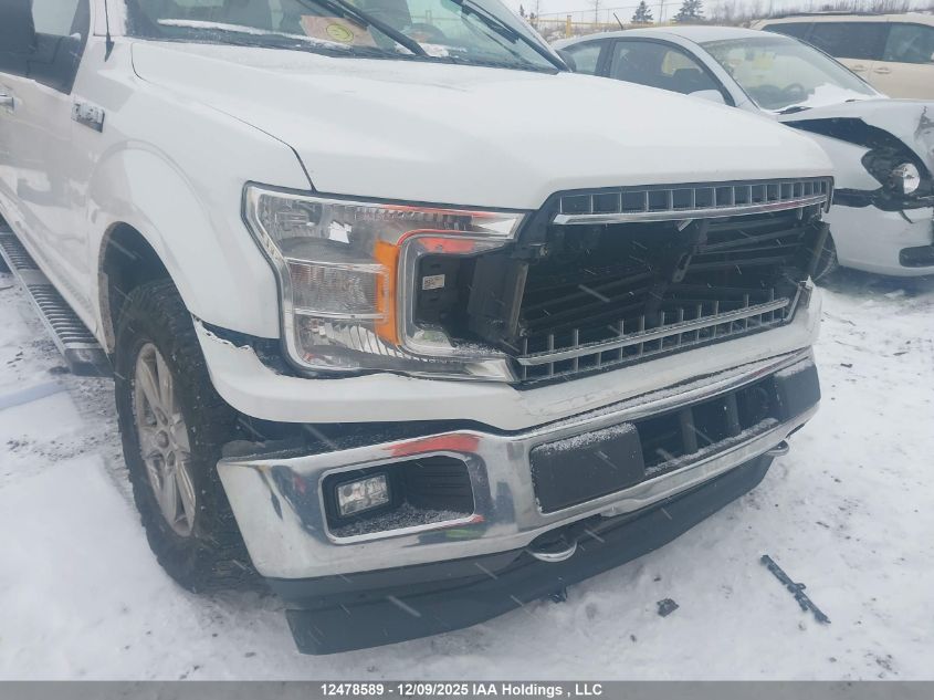 2019 Ford F-150 Xlt VIN: 1FTEW1EP7KFD20996 Lot: 12478589