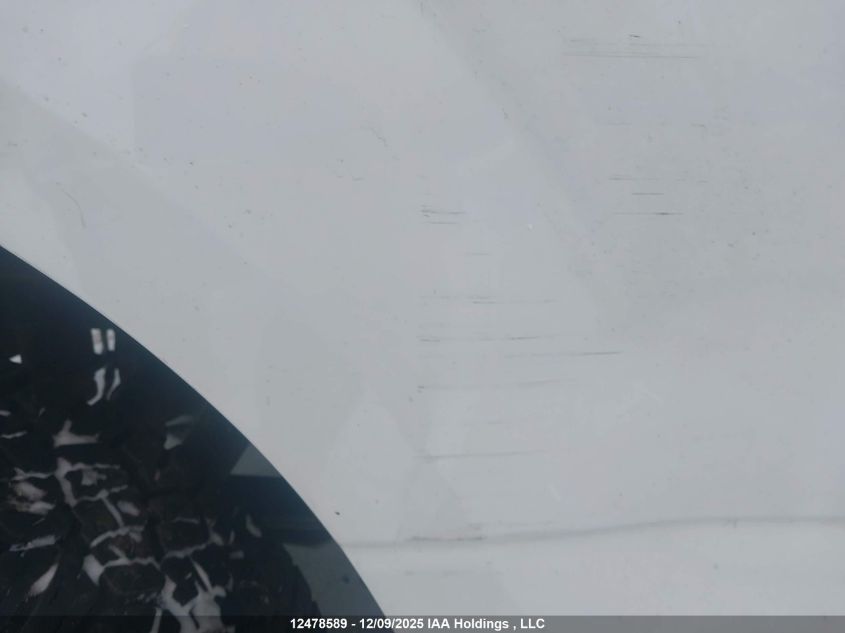 2019 Ford F-150 Xlt VIN: 1FTEW1EP7KFD20996 Lot: 12478589