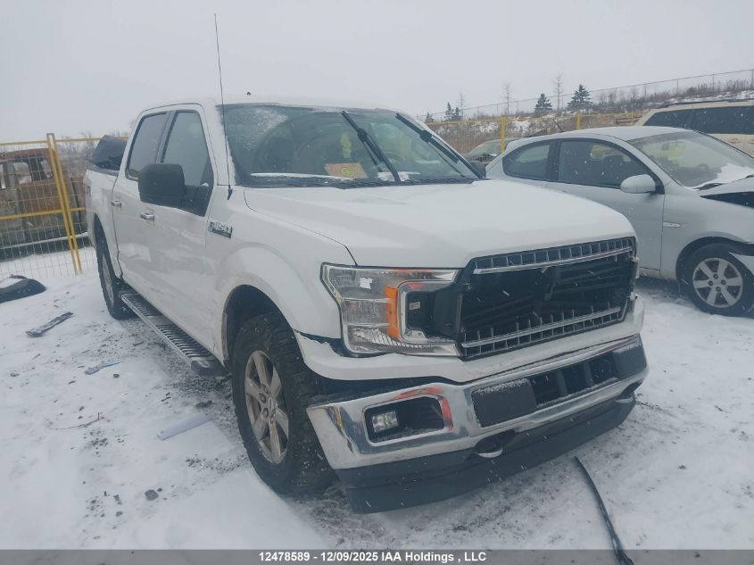 2019 Ford F-150 Xlt VIN: 1FTEW1EP7KFD20996 Lot: 12478589