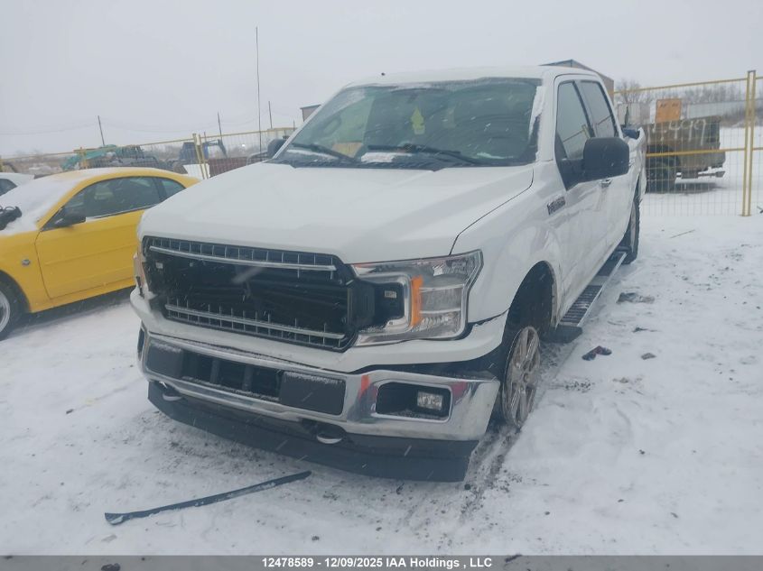 2019 Ford F-150 Xlt VIN: 1FTEW1EP7KFD20996 Lot: 12478589