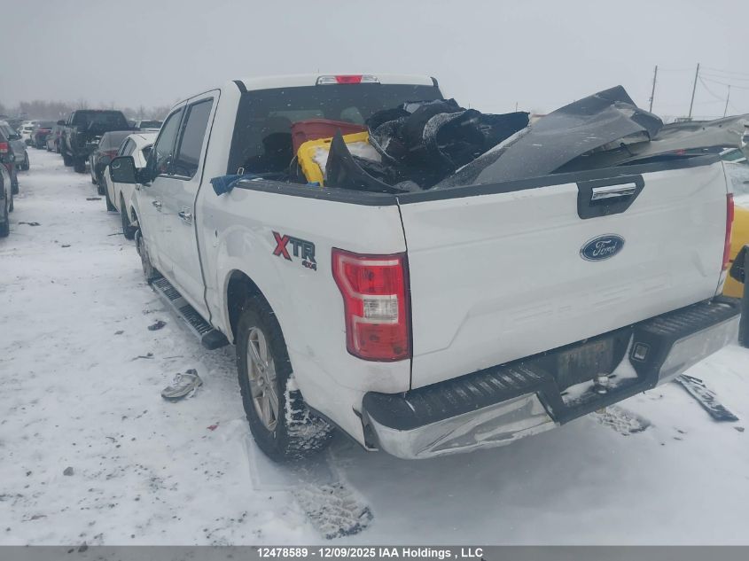 2019 Ford F-150 Xlt VIN: 1FTEW1EP7KFD20996 Lot: 12478589