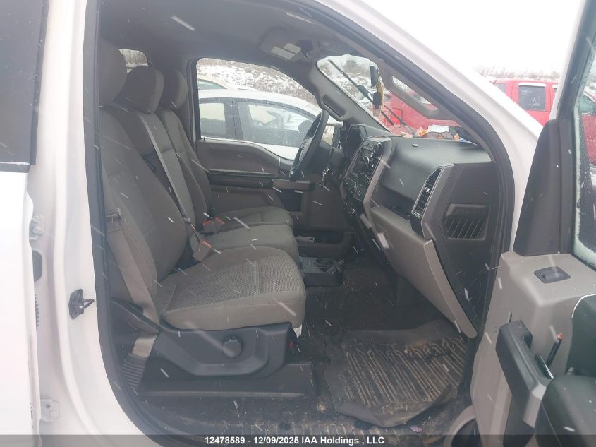 2019 Ford F-150 Xlt VIN: 1FTEW1EP7KFD20996 Lot: 12478589