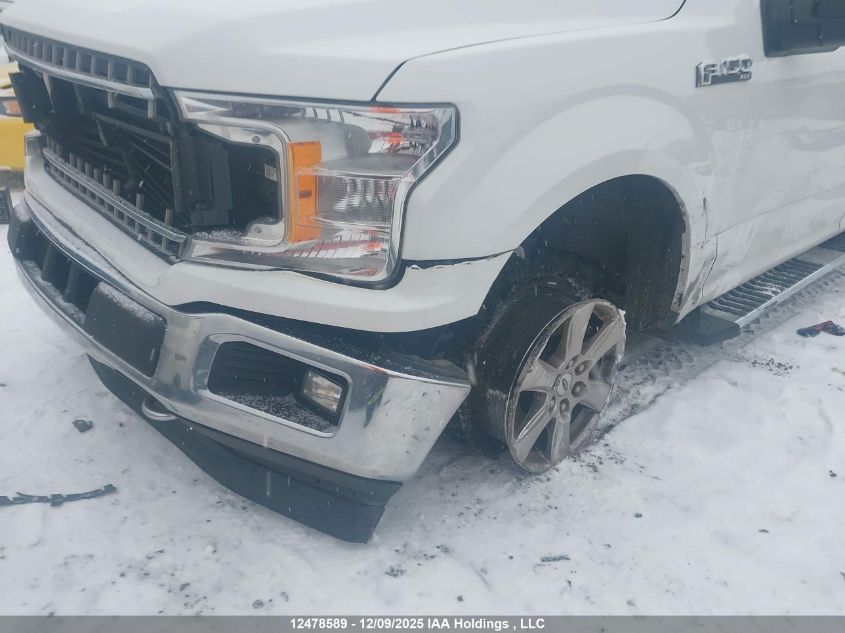 2019 Ford F-150 Xlt VIN: 1FTEW1EP7KFD20996 Lot: 12478589