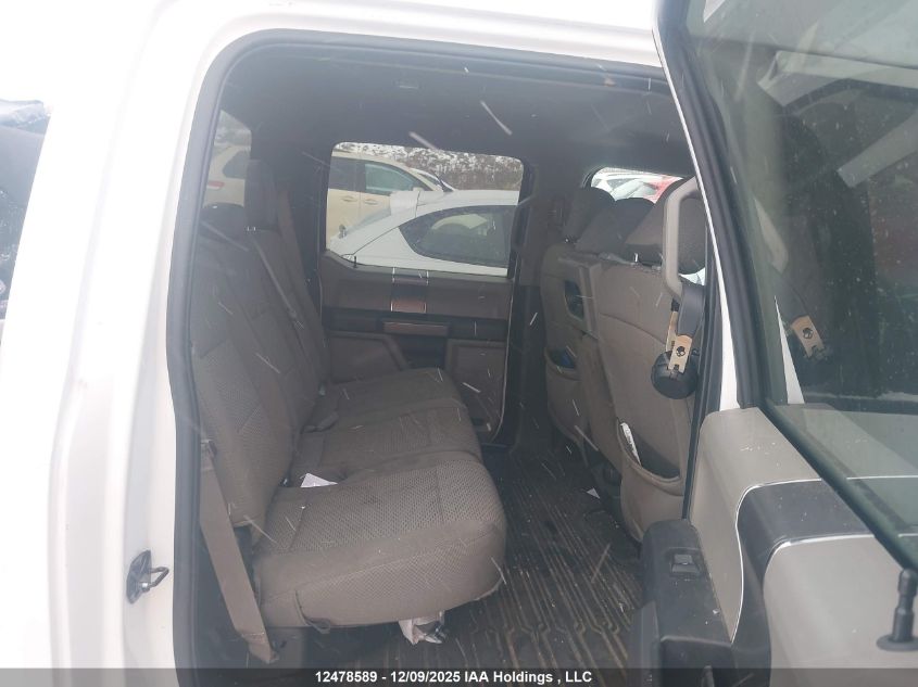 2019 Ford F-150 Xlt VIN: 1FTEW1EP7KFD20996 Lot: 12478589