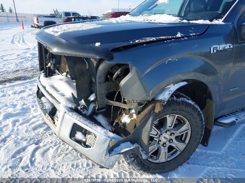 1FTFX1EG3HFB01253 2017 FORD F-150 photo no. 6