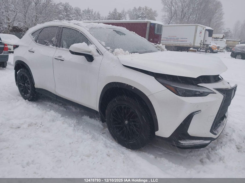 2T2GGCEZ6PC021479 2023 Lexus Nx 350 auction photo 1