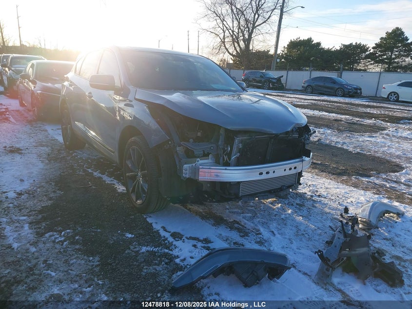 5J8TC2H60SL802544 2025 Acura Rdx auction photo 1