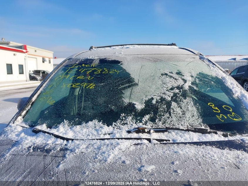 2009 Honda Cr-V VIN: 5J6RE48549L802976 Lot: 12478824