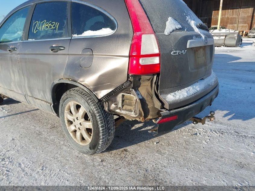 2009 Honda Cr-V VIN: 5J6RE48549L802976 Lot: 12478824