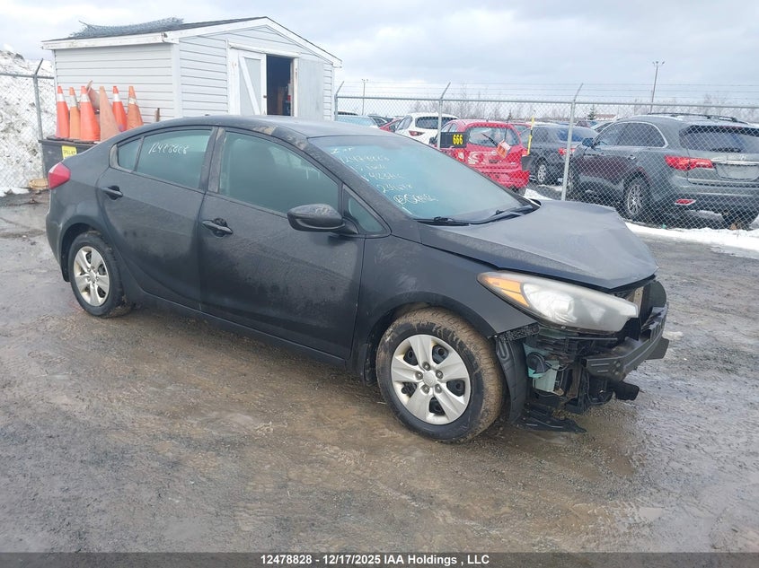 KNAFK4A61F5423712 2015 Kia Forte Lx auction photo 1