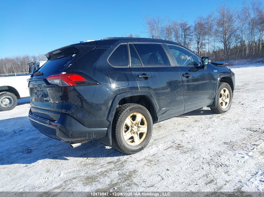 JTMGB3FV6PD120899 2023 TOYOTA RAV 4 photo no. 4