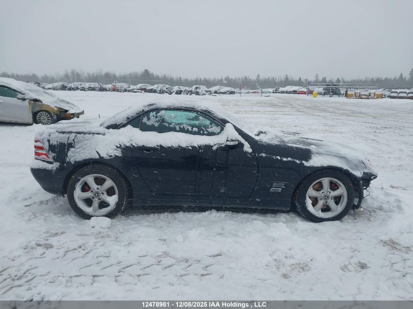 2002 Mercedes-Benz Slk 320 VIN: WDBKK65F82F264858 Lot: 12478981