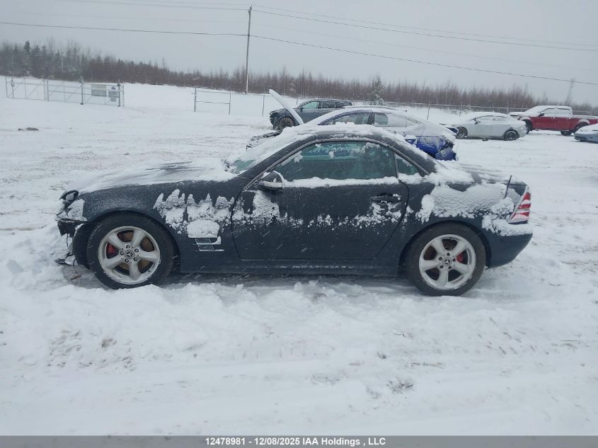 2002 Mercedes-Benz Slk 320 VIN: WDBKK65F82F264858 Lot: 12478981