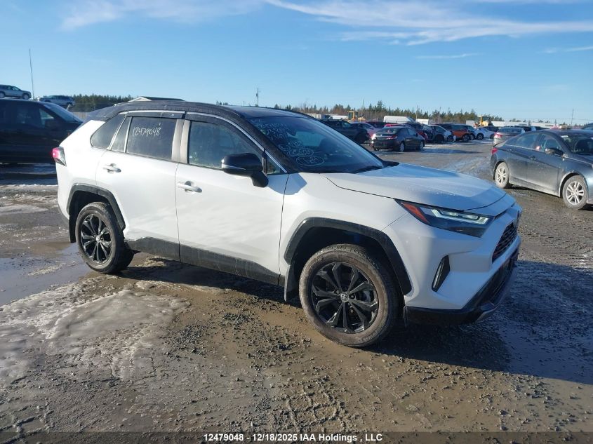 2023 Toyota RAV4
