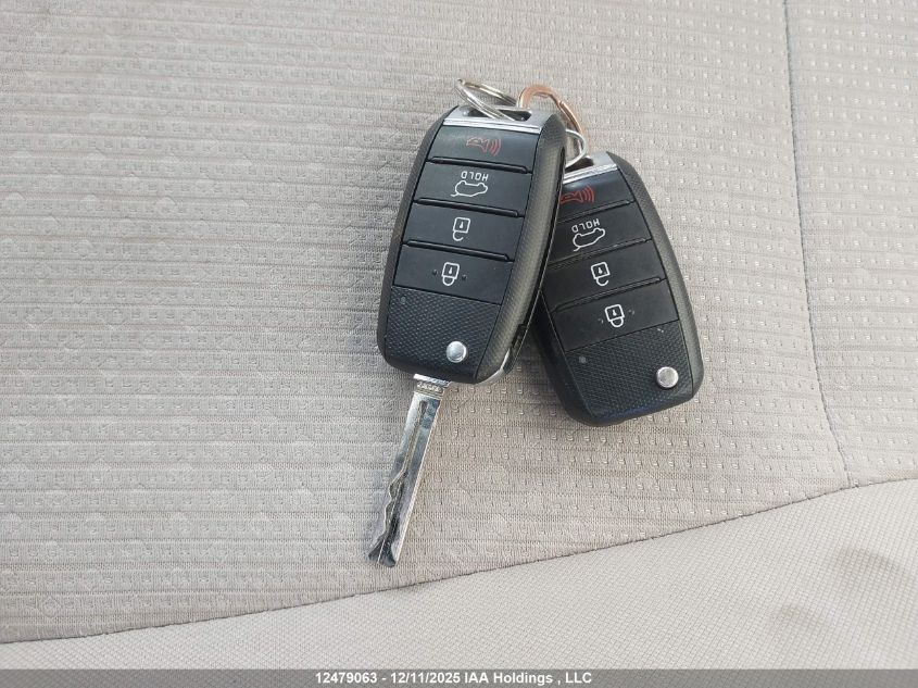 2016 Kia Sedona Lx VIN: KNDMB5C10G6234756 Lot: 12479063