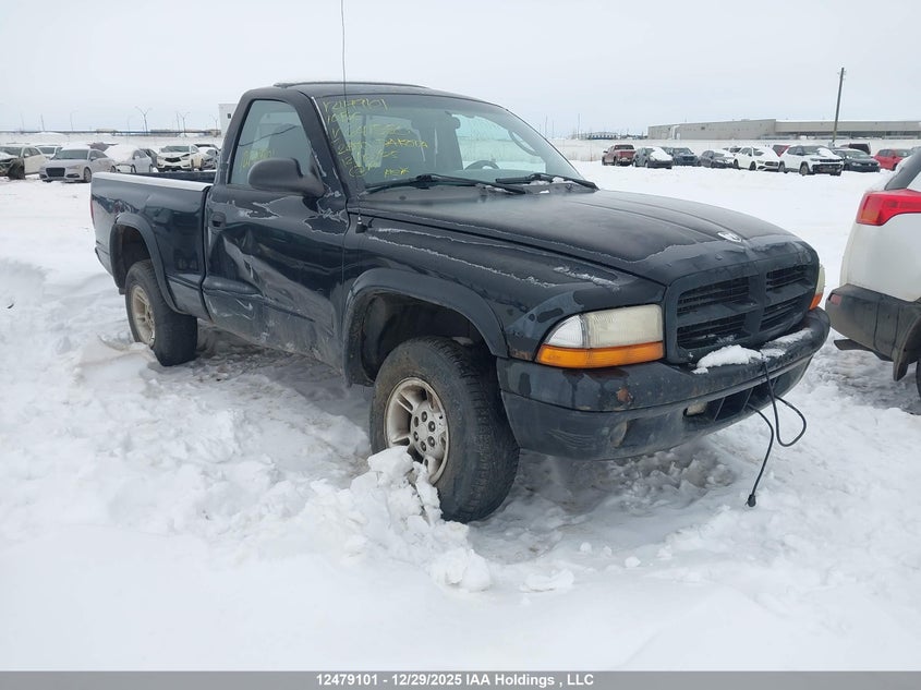 2000 Dodge Dakota
