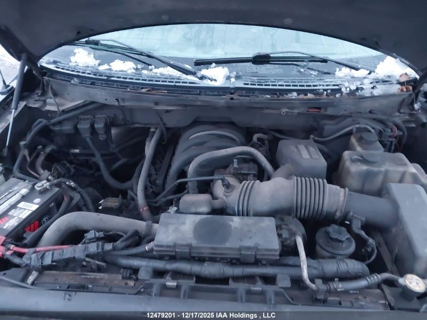 2010 Ford F-150 Stx/Xl/Xlt VIN: 1FTEX1E80AFD13439 Lot: 12479201