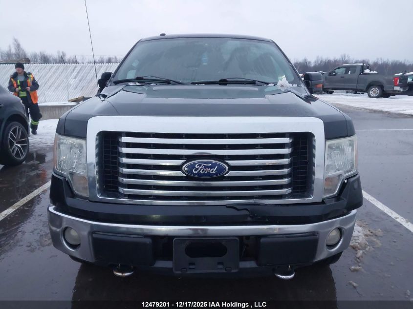 2010 Ford F-150 Stx/Xl/Xlt VIN: 1FTEX1E80AFD13439 Lot: 12479201