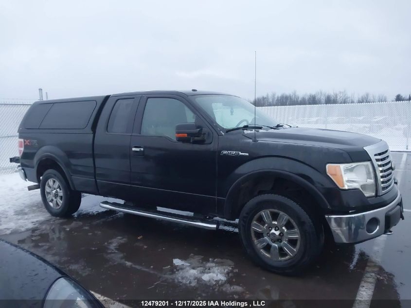 2010 Ford F-150 Stx/Xl/Xlt VIN: 1FTEX1E80AFD13439 Lot: 12479201